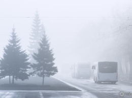 Кондуктор выгнала красноярских школьников из автобуса после оплаты проезда