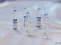 Гинцбург назвал необходимое количество антител для защиты от коронавируса