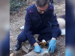 В Сочи в лесополосе нашли тело убитой женщины