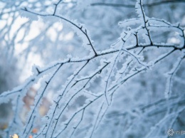 Теплая погода в Кузбассе сменится сильным морозом под влиянием циклона