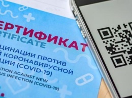 Бумажные QR-коды будут рассылать пожилым и маломобильным гражданам