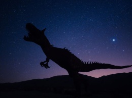 Ученые в Гренландии нашли останки нового вида динозавра