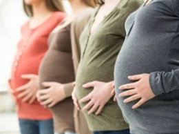В Белгородской области беременным женщинам отказывали в новой выплате в 83% случаев