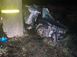 Под Черняховском в дерево врезался «Фольксваген», погиб пассажир (фото)