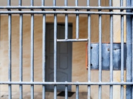 Вышедшего на одиночный пикет калининградца суд арестовал 14 суток за нецензурную брань