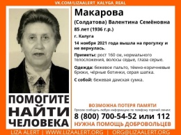 В Калужской области разыскивают 85-летнюю женщину