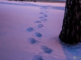 Школьник пропал на морозе в Омске
