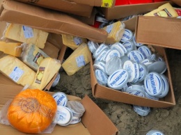 Под Калининградом раскатали бульдозером 5 тонн импортных сыров и масла (фото)