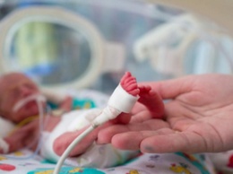 С начала года в Белгородской областной больнице спасли 384 недоношенных ребенка