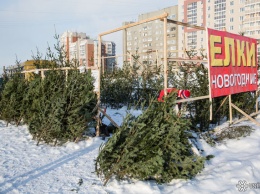 Холоднее нормы: кемеровские синоптики дали прогноз на декабрь