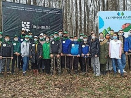 Более 23 тысяч саженцев высадили на Кубани в рамках акции «Сохраним лес»