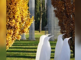 В парке Краснодар появились пингвины
