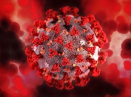 ВОЗ проведет экстренное заседание из-за нового штамма коронавируса