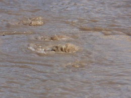 КВС: потоки воды в центре Саратова не являются аварийной ситуацией