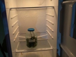 Житель Ялты хранил в холодильнике марихуану