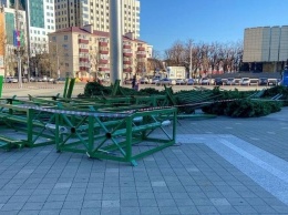 Главную новогоднюю елку начали устанавливать в Краснодаре