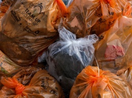 Работники завода в Ростове нашли среди мусора расчлененный труп