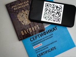 Глава отделения «Справедливой России» обжаловал в суде введение QR-кодов в Калининградской области