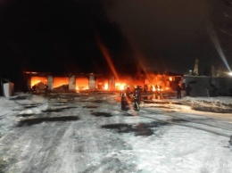 У завода «Янтарь» сгорело здание с 5 автомобилями внутри (фото)