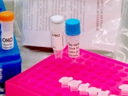 Срок действия отрицательного ПЦР-теста на коронавирус сократили до 48 часов