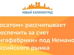 «Росатом» рассчитывает обеспечить за счет «гигафабрики» под Неманом 19% российского рынка
