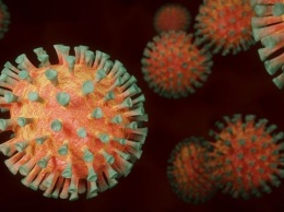 Новосибирский вирусолог сообщил о необычных симптомах омикрон-штамма COVID-19