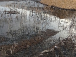 Росприроднадзор: нефтяная компания заплатит 15,5 млн за загрязнение почвы
