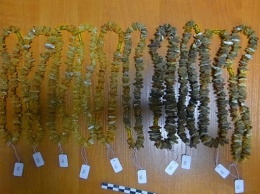 В Нестерове у пассажира поезда изъяли нелегальную партию янтарных изделий (фото)