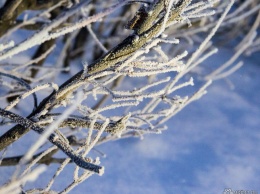 Новая неделя в Кузбассе началась с резких заморозков