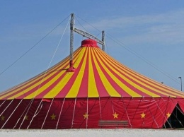 В Ялте власти разрешили разместить в городе цирк-шапито на праздничные дни