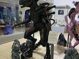 Космические пришельцы ждут в музее: в Краснодаре открылась посвященная инопланетянам выставка
