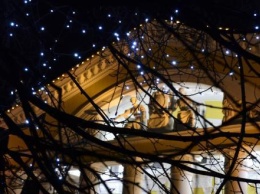 Кошачья трагедия, спасение Палат Макарова и новогодние мероприятия: главное за день