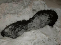 В Ульяновске в яму присыпанную снегом провалился мужчина