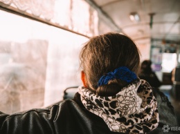 Выгнавший девочку на мороз водитель кемеровской маршрутки понесет наказание
