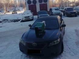 Новокузнецкий автолюбитель объявил крупную награду за информацию о вандалах
