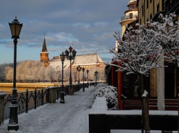 Власти Калининградской области назвали самые популярные музеи на новогодних каникулах