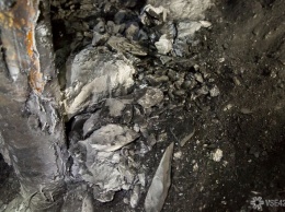Росприроднадзор указал сроки устранения нарушений при добыче угля на шахте "Листвяжная" в Кузбассе