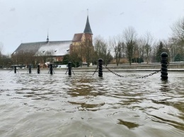 В Калининграде уровень воды в Преголе поднялся почти на метр (фото)