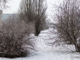 Температура в феврале опустится в Кузбассе ниже нормы