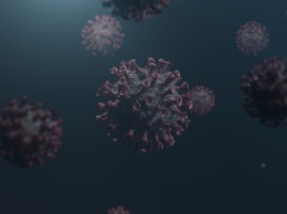 Медики выявили 21 мутацию коронавируса у ВИЧ-инфицированной женщины из ЮАР