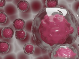 Китайские ученые создали "ИИ-няню" для ухаживания за эмбрионами