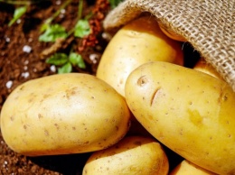 Медики рассказали, как картофель может помочь гипертоникам