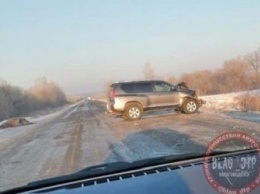 Внедорожник врезался в табун лошадей в Приамурье