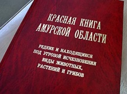 В Амурской области переиздали Красную книгу