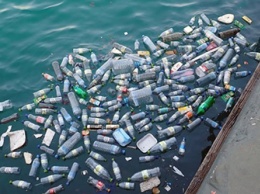 Амурские школьники думали, как спасти планету от загрязнения пластиком