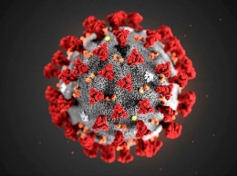 Российский вирусолог спрогнозировал дальнейшую эволюцию коронавируса