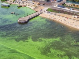 Новый пляж Саратова. За загрязнение Волги МУП получило претензию в 4 млн рублей