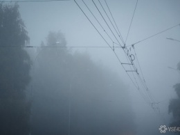 Власти Новокузнецка прокомментировали жалобы на качество воздуха