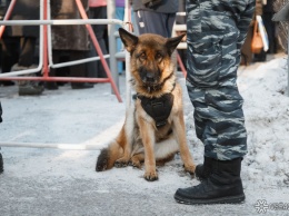 Кузбасское ЧОП попало под штраф за ущемленных охранников