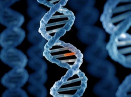 Чужеродная ДНК